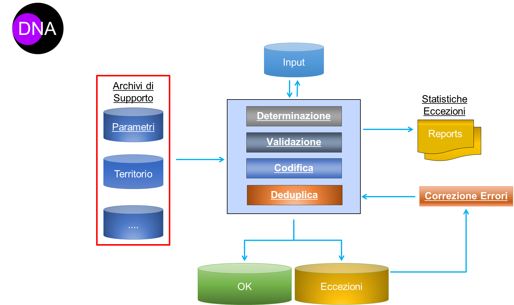 Grafico DNA